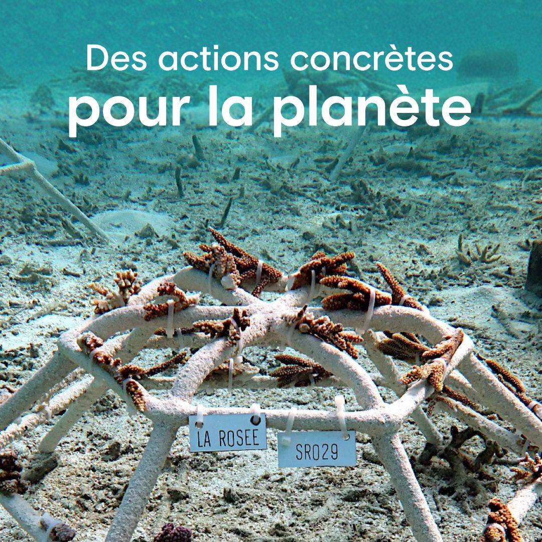 Des actions concrètes pour la planète