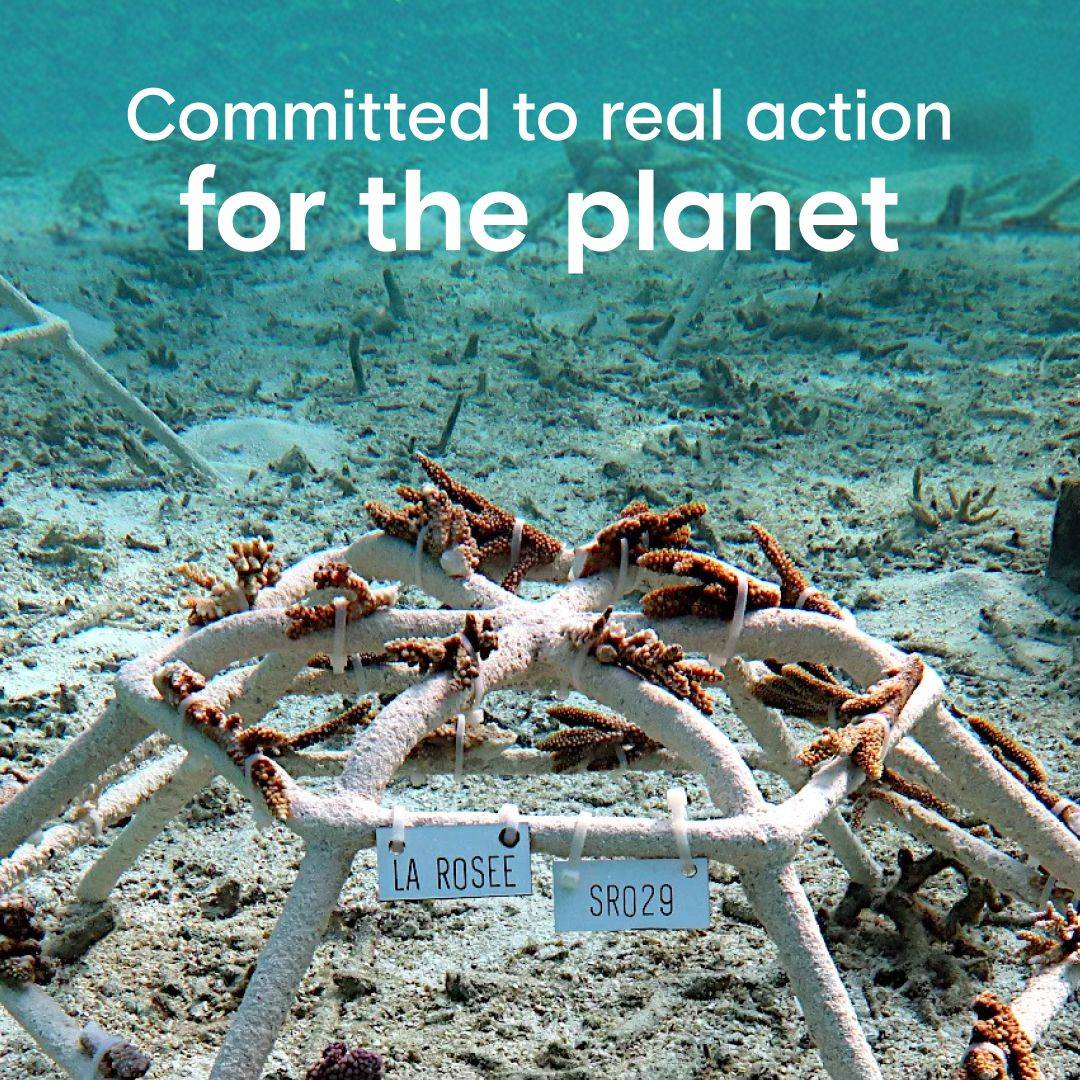 Nos actions concrètes pour la planète